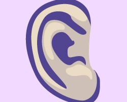  Drawn ear.